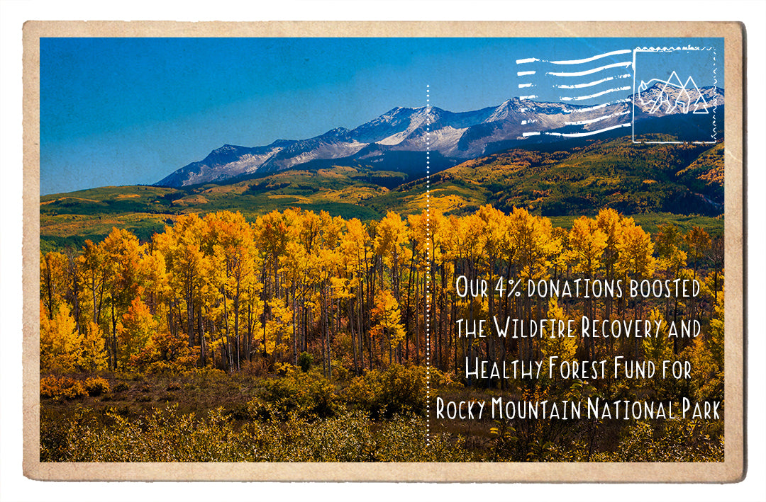 Wildfire Recovery and Healthy Forest Fund in Rocky Mountain