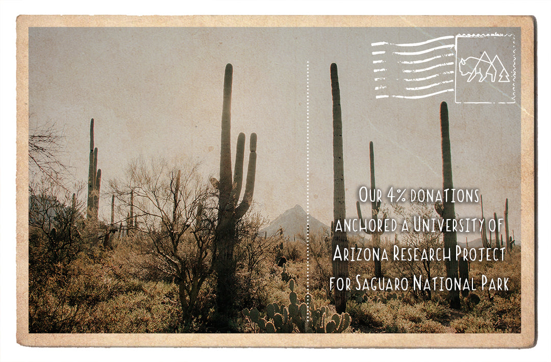 University of Arizona Research Project for Saguaro National Park