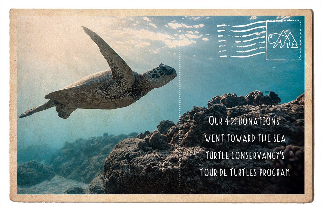 Sea Turtle Conservancy's Tour de Turtles
