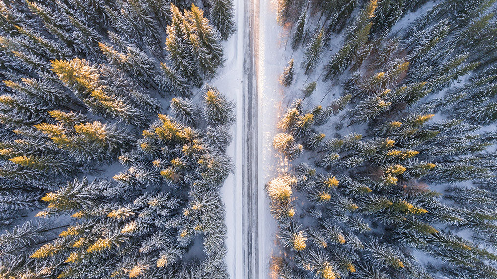 Brotherhood: A Backcountry Winter Trip in Baxter State Park