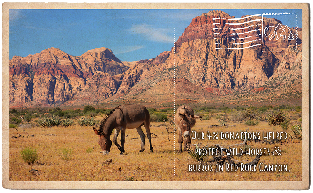 Protect Wild Horses and Burros in Red Rock Canyon