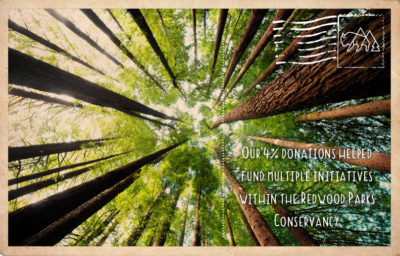 Redwood Parks Conservancy Matching Grant