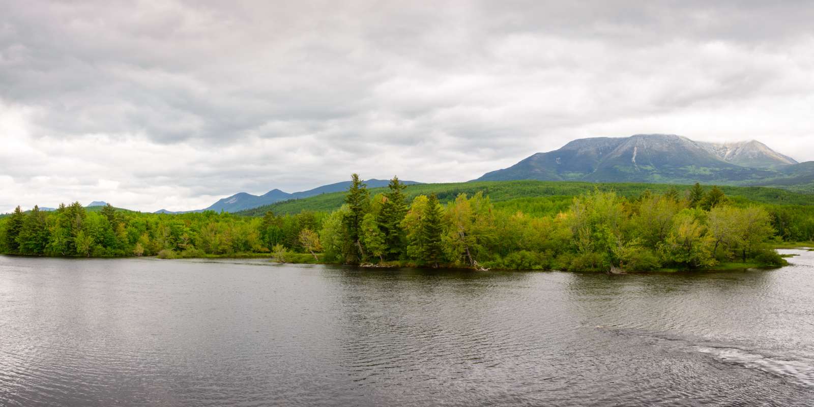 Katahdin Woods and Waters National Monument: A New Direction for the Maine Wood