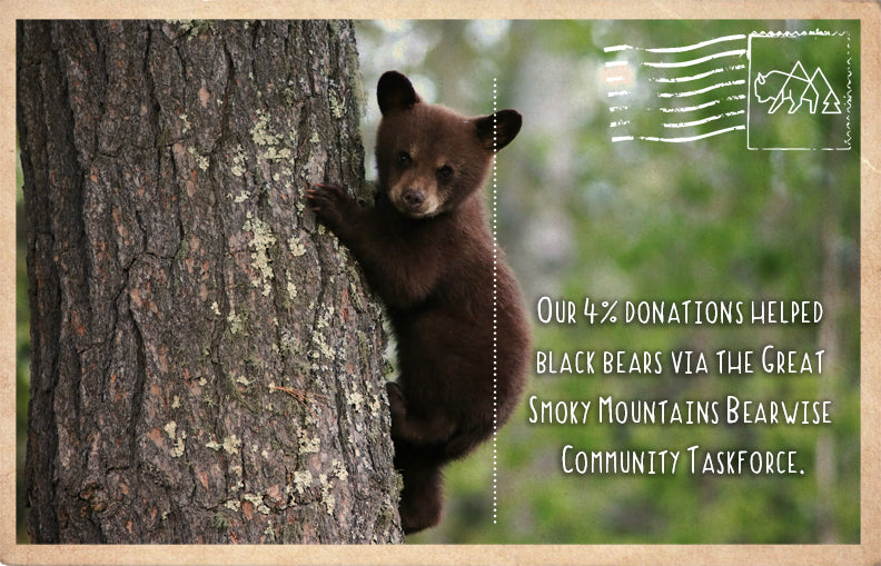 Keeping Black Bears wild in the Great Smoky Mountains