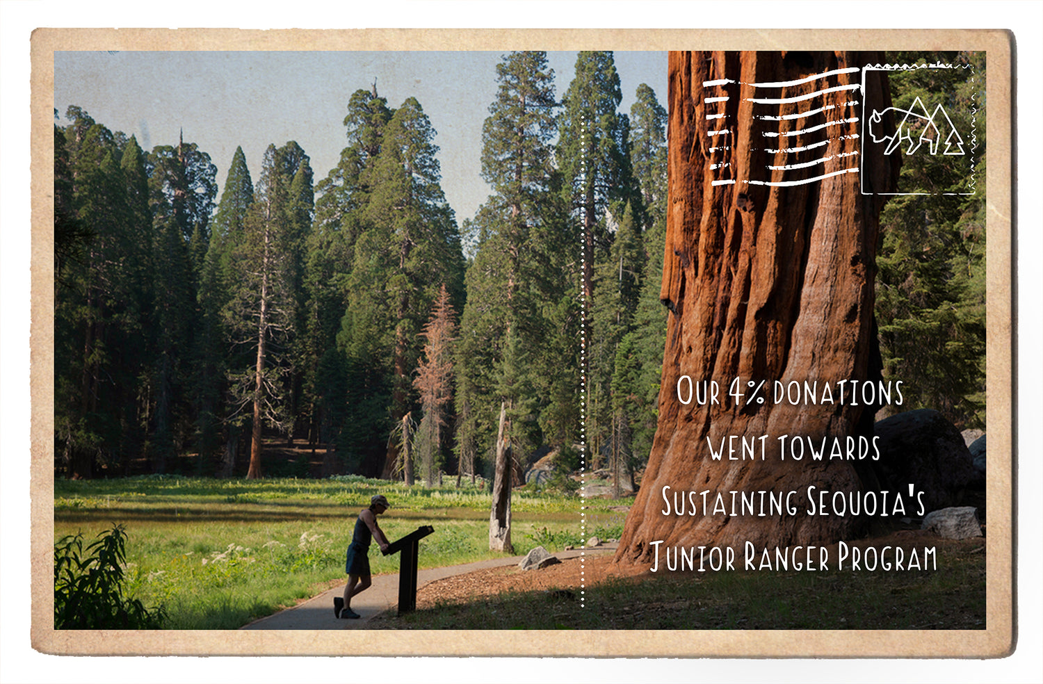 Sustaining Sequoia's Junior Ranger Program