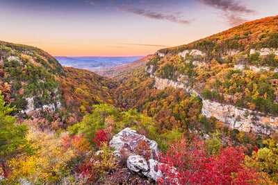 Georgia Collection