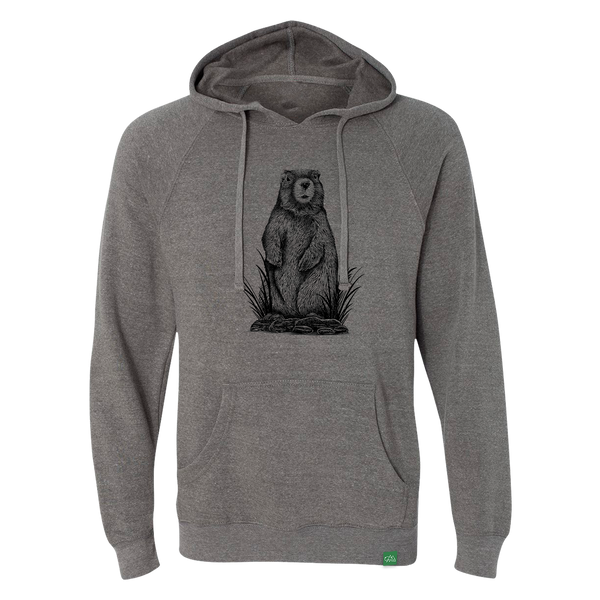 A1491-MarmotSketch-