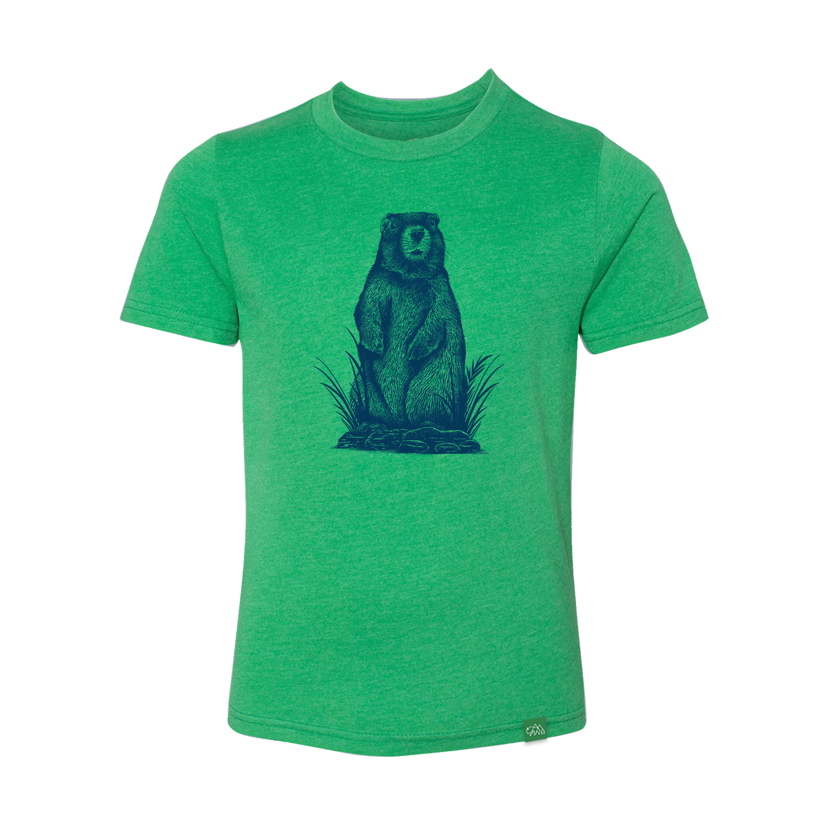 Marmot Sketch Youth T-Shirt | Wild Tribute