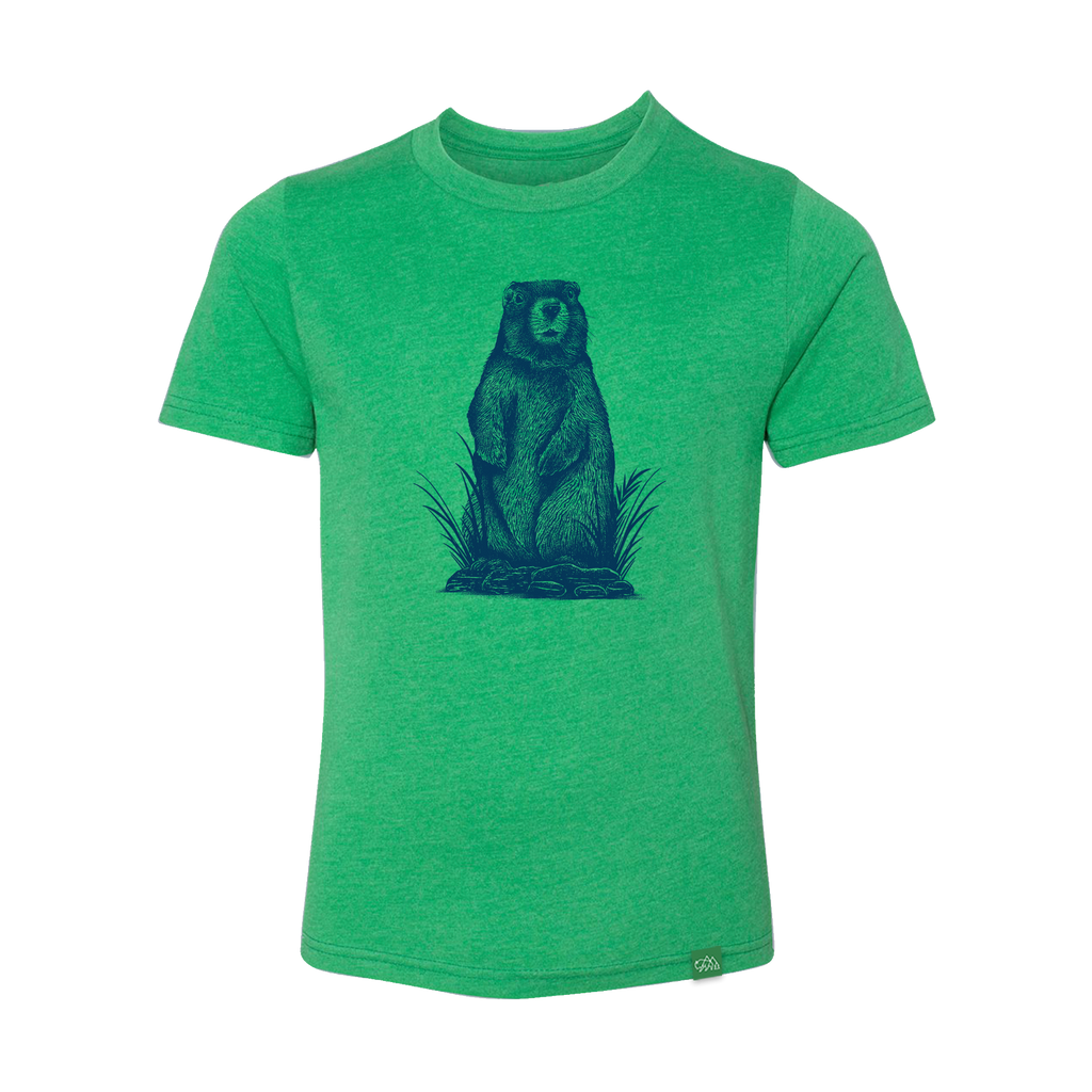 Marmot Sketch Youth T-Shirt | Wild Tribute