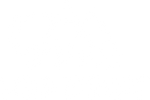 Wild Tribute logo